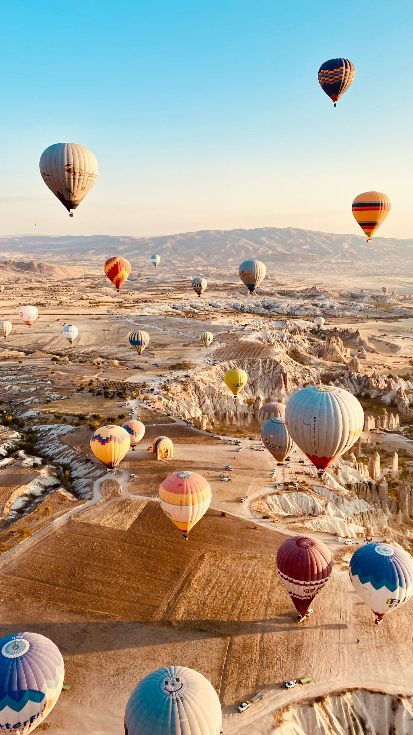 balloons desert